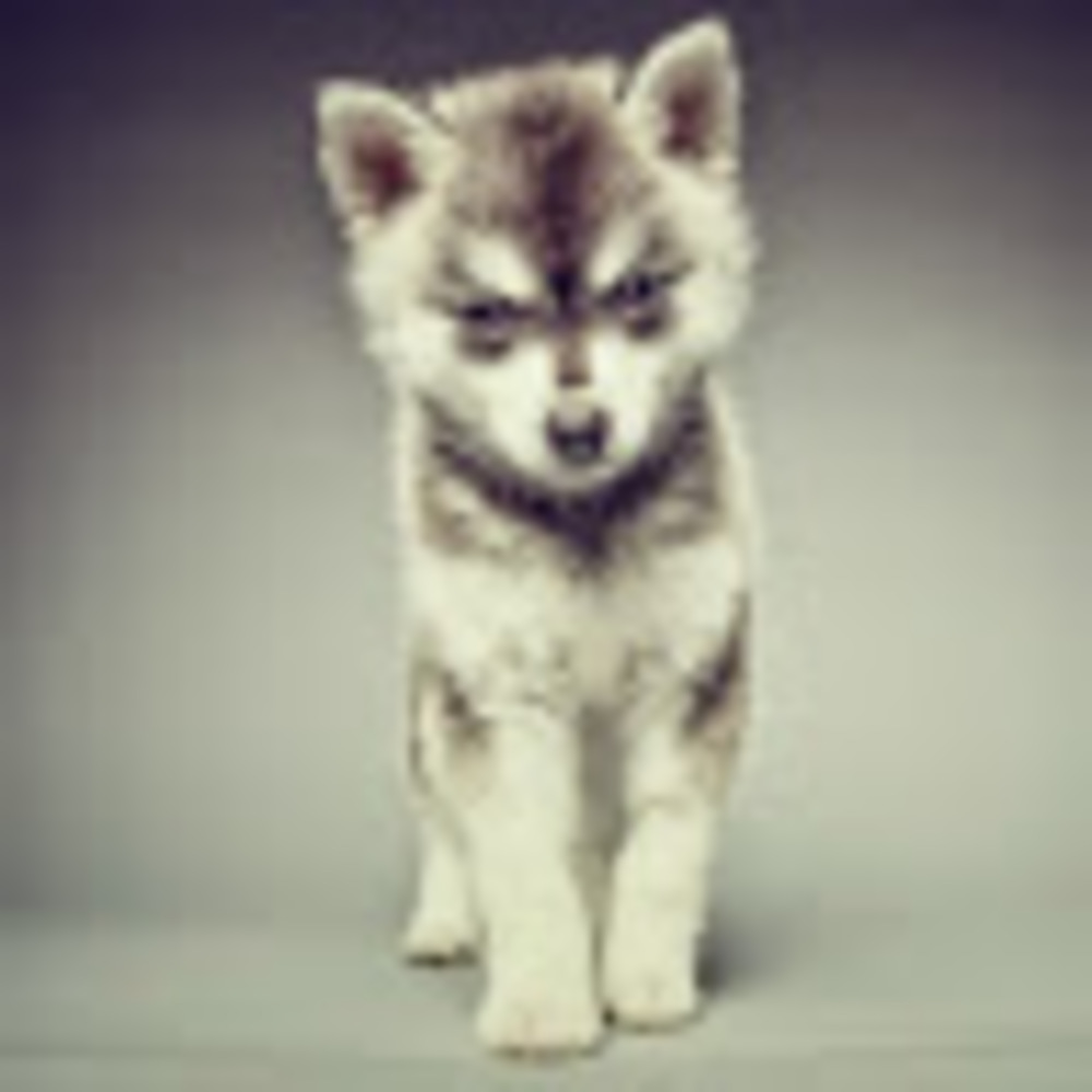 Meet your Posher, Chelsea